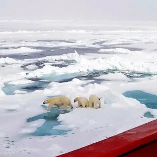 Карское море северного ледовитого океана