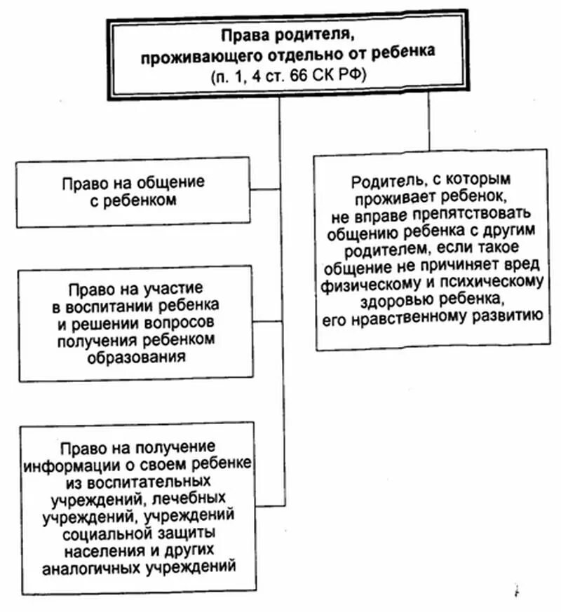 Условия осуществления родительских прав по семейному кодексу РФ. Принципы осуществления родительских прав и обязанностей.