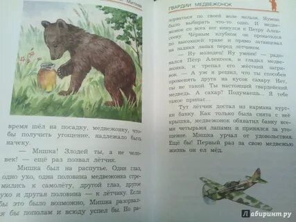 Митяев гвардии медвежонок