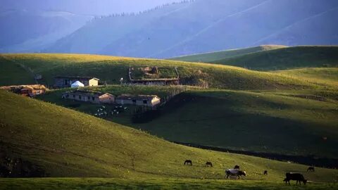 Ауылдарын кз