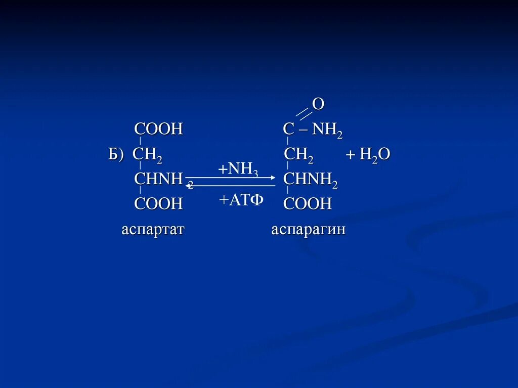 Ch3cooh na2o. Ch3 c ch3 nh2 Cooh название. Nh2-Ch-Cooh. Ch3 Ch nh2 Cooh. Ch2 Ch nh2 Cooh название.