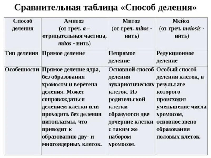 Способы деления клетки таблица. Сравнительная характеристика митоза и амитоза таблица. Сравнительная характеристика видов деления клетки. Таблица 2 основных способа деления клеток. Сходство и различие мейоза и митоза таблица