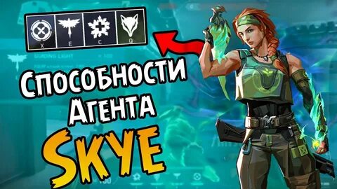 Скай пропуск