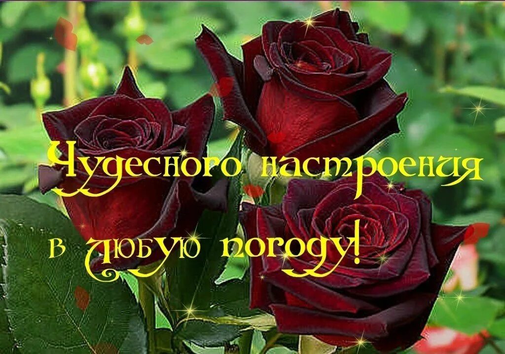 Отличного настроения в любую погоду. Позитивные эмоции. Открытки с 8 марта женщинам анимация. Отличная любых. Отличная любых.