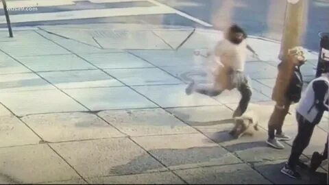 Suspect caught on camera kicking small dog wusa9.com.