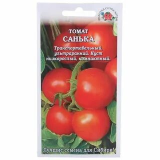 Сорт помидор санька отзывы описание сорта