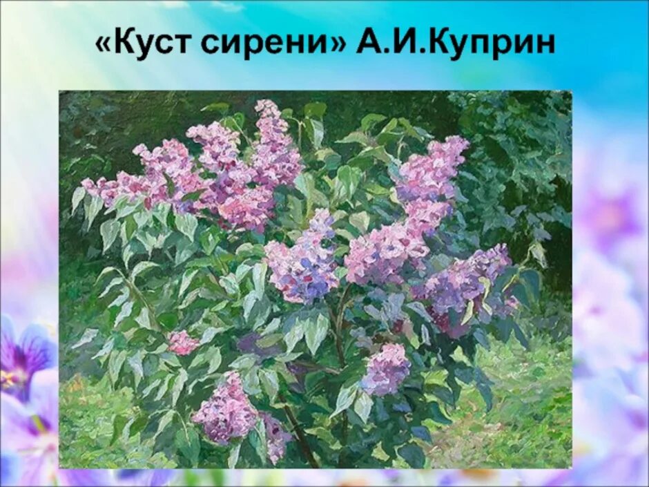 Произведение сирень краткое содержание. Куст сирени Куприн. Куст сирени Куприн Куприн. Куприн сиреневый куст.