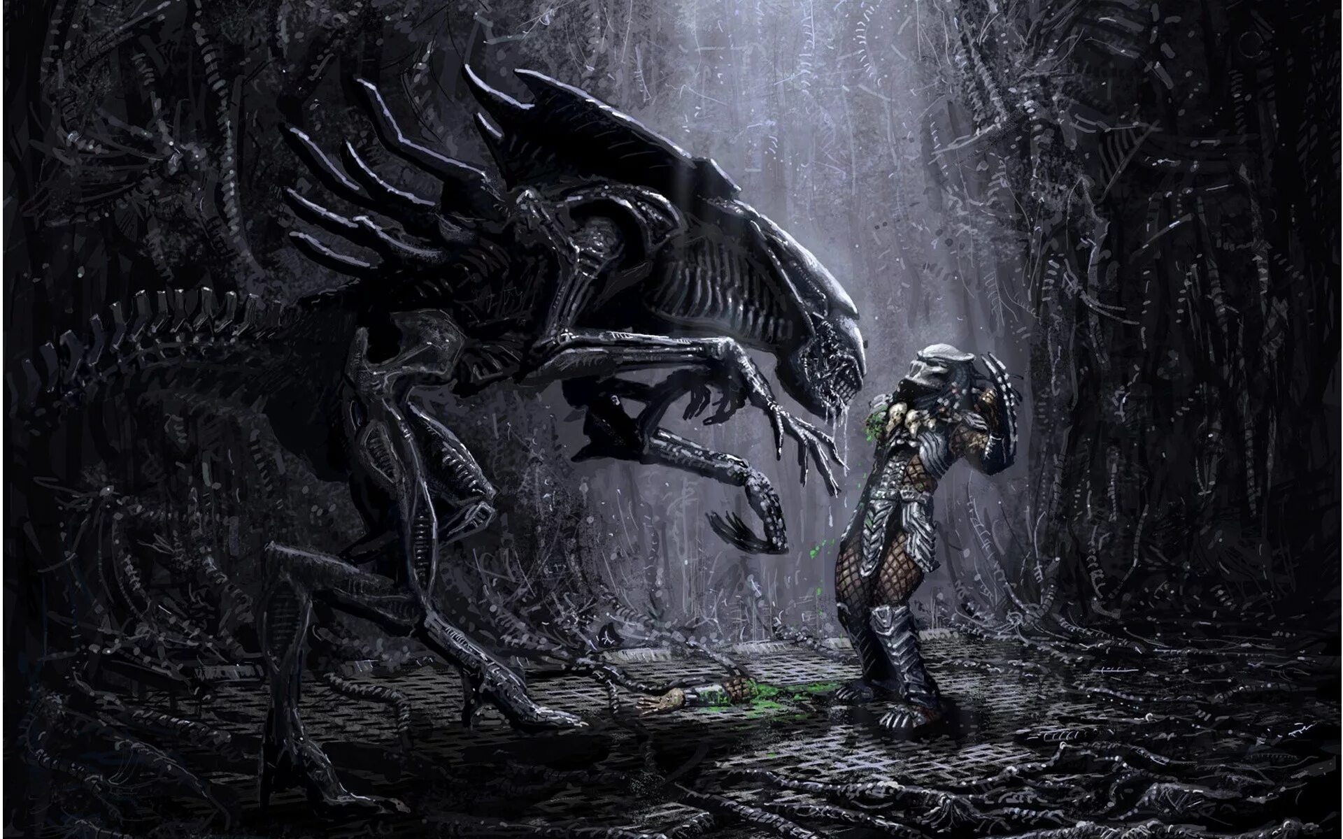 Иви чужой. Aliens vs Predator чужой. Хищник против хищника. Ксеноморф против хищника.