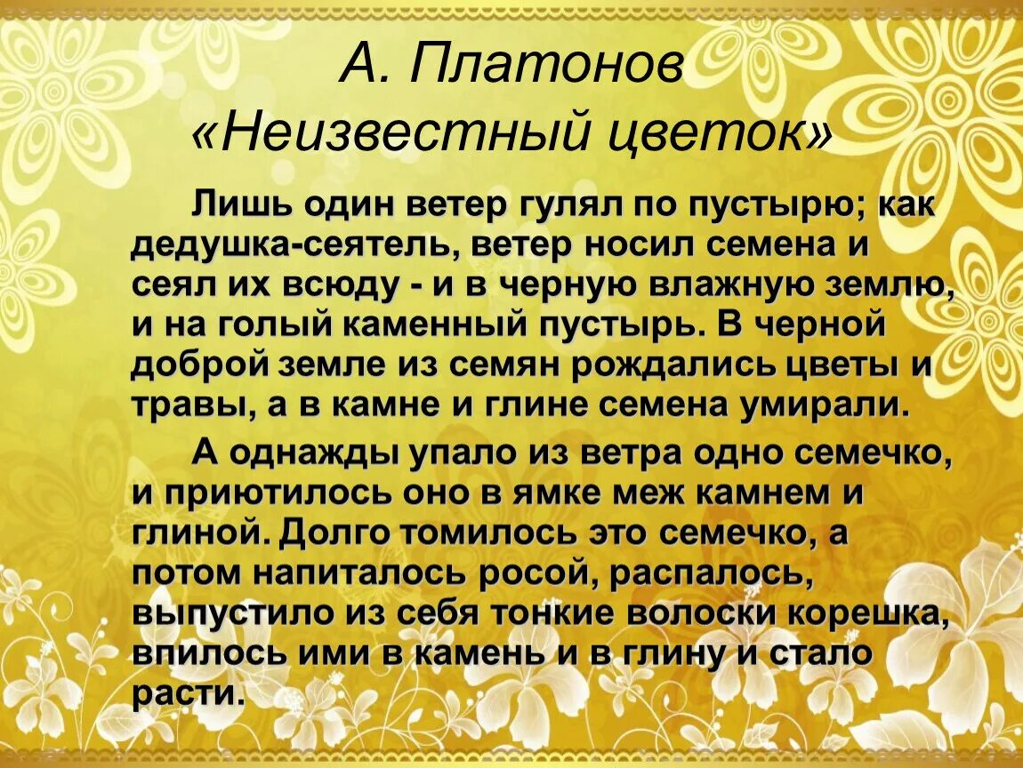 Самый неизвестный цветок. Самый неизвестный цветок. Самый неизвестный цветок. Пересказ неизвестный цветок. Самый неизвестный цветок.