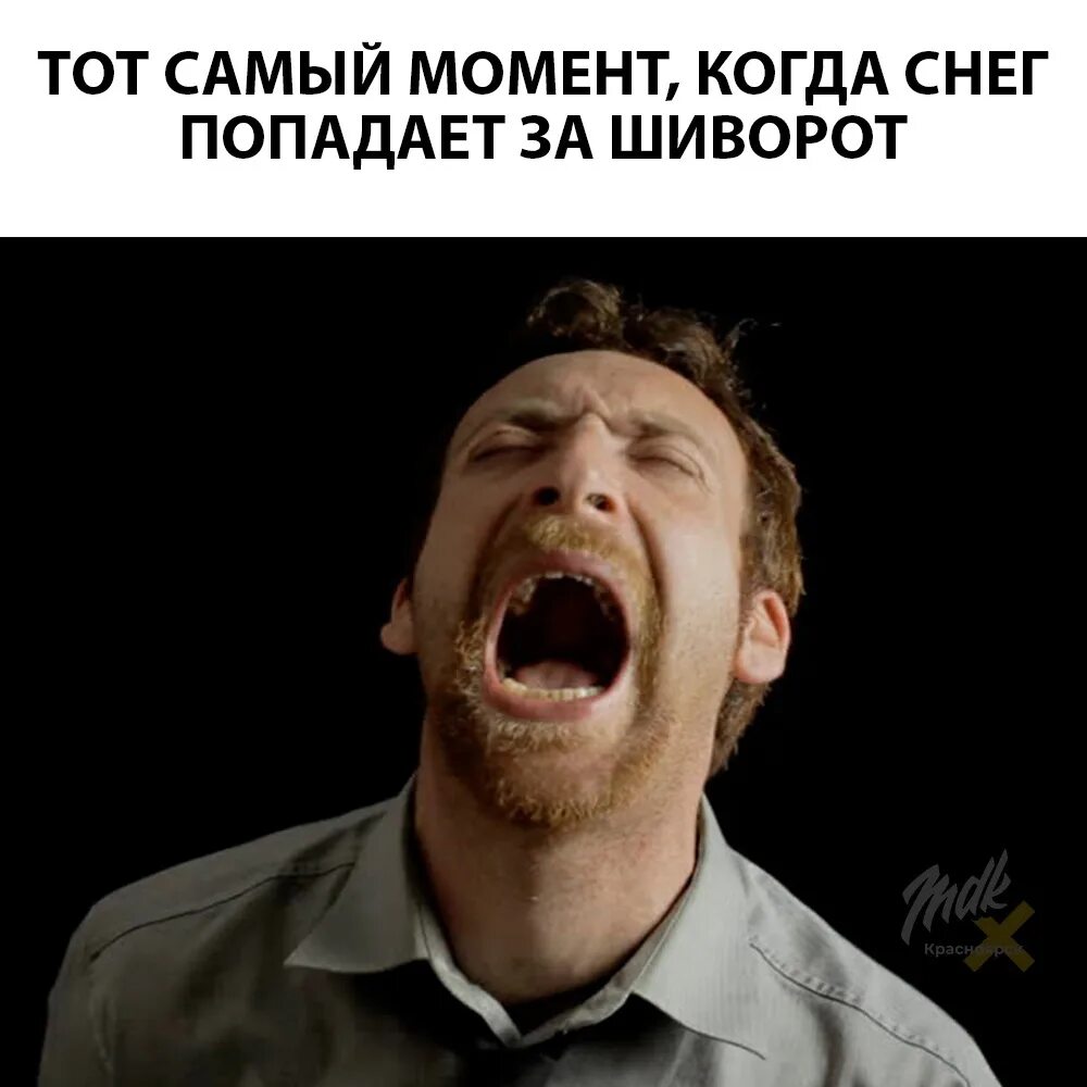 Злой лев. Злобный мужик. Зубы диких животных. Angry man. Агрессивный человек.