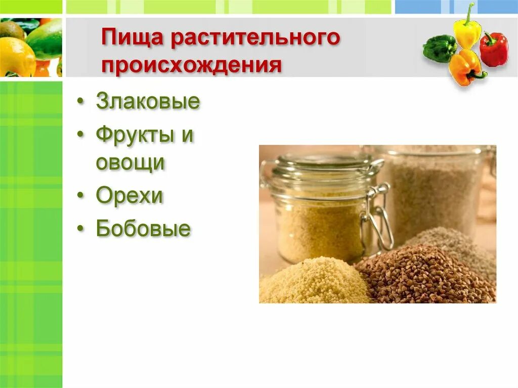 Продукция растительного происхождения. Пища растительного происхождения. Растительное происхождение. Этикетки продуктов питания растительного происхождения. Растительное питание.