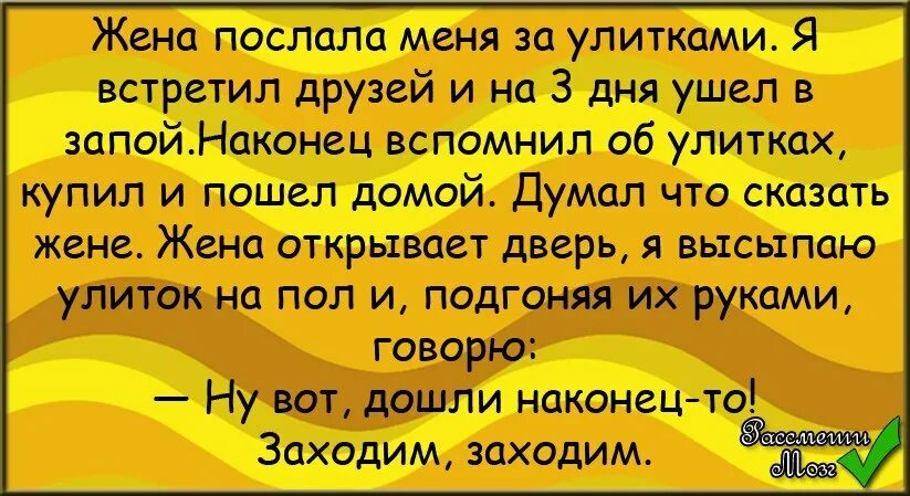 Заходит улитка в бар текст. Анекдот про улитку в баре. анекдот про улитку. заходит улитка в бар анекдот. смешной анекдот про улитку.