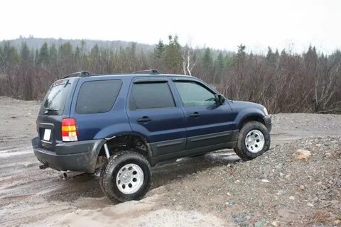Tribute ford escape