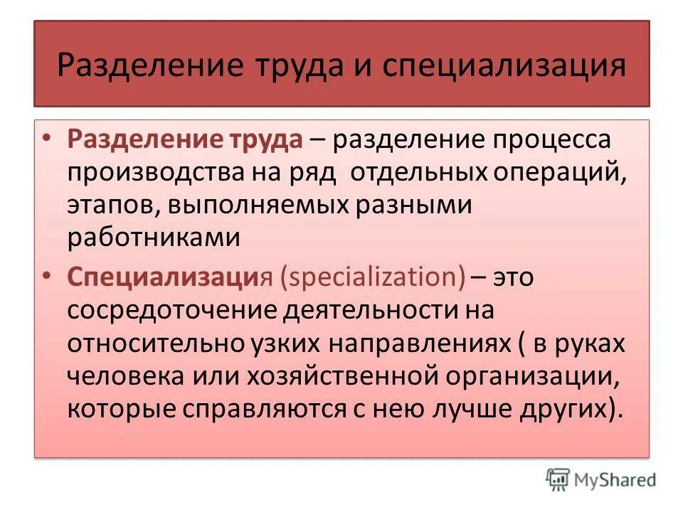 Разделение труда в каком обществе