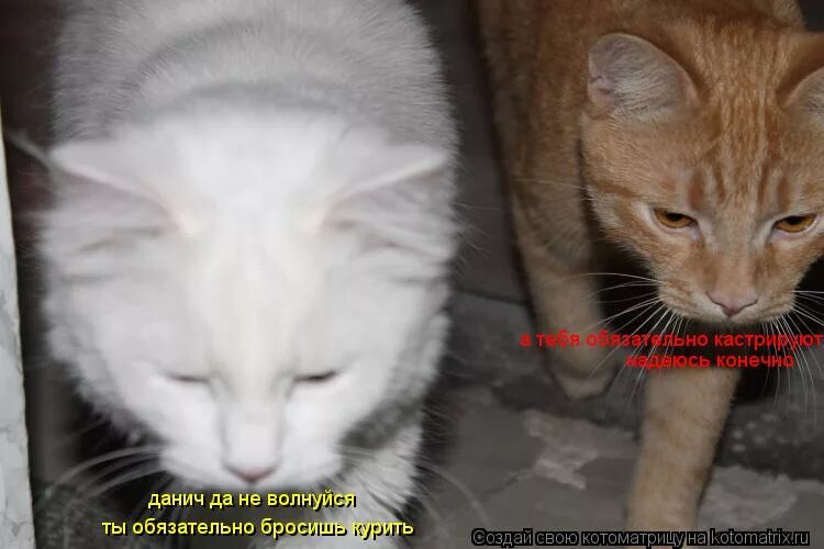 не нервничай любимый