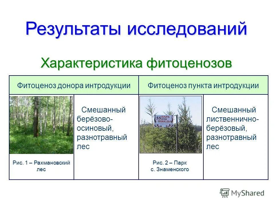 Растительное сообщество конспект кратко. Характеристики фитоценоза еловый лес. Растительные сообщества фитоценозы. Фитоценоз примеры. Искусственные растительные сообщества.