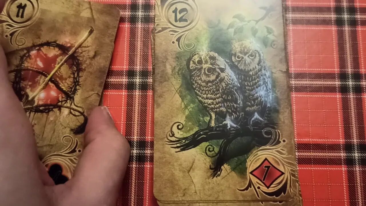 Таро ленорман золотая сова. Mystical shaman oracle cards галерея. Оракул ленорман голубая сова. Оракул ленорман "золотая сова". Таро ленорман совы.