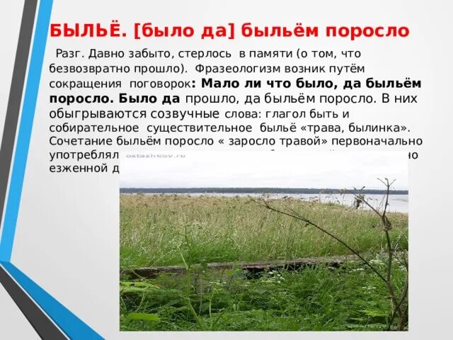 Быльем поросло фразеологизм. Быльем поросло значение. Быльём поросло значение фразеологизма.