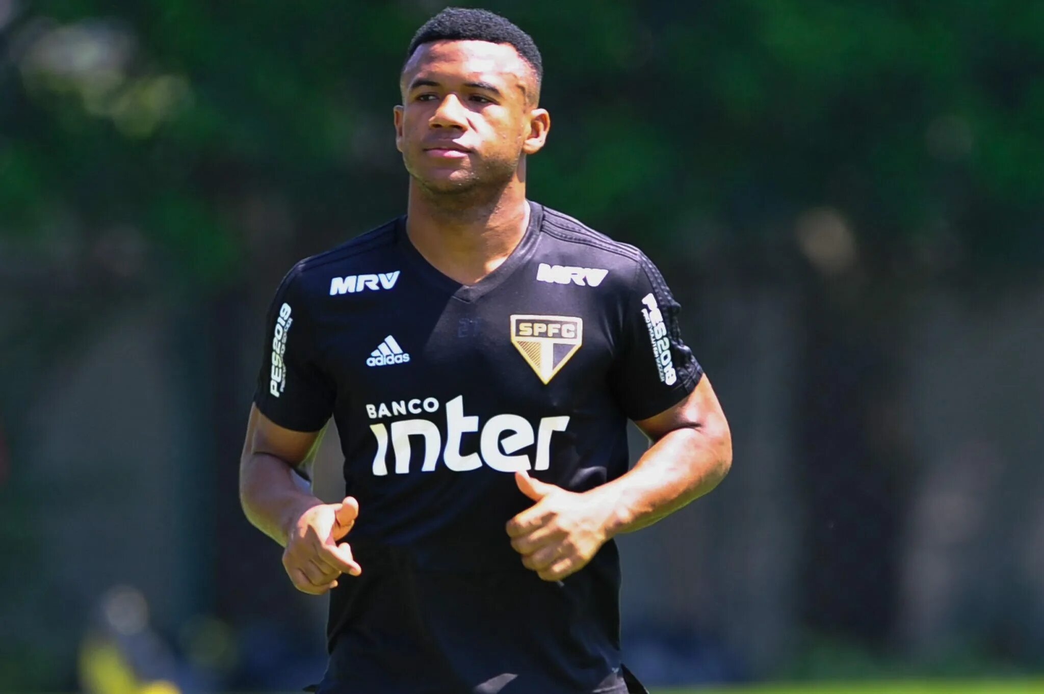 Silva santos