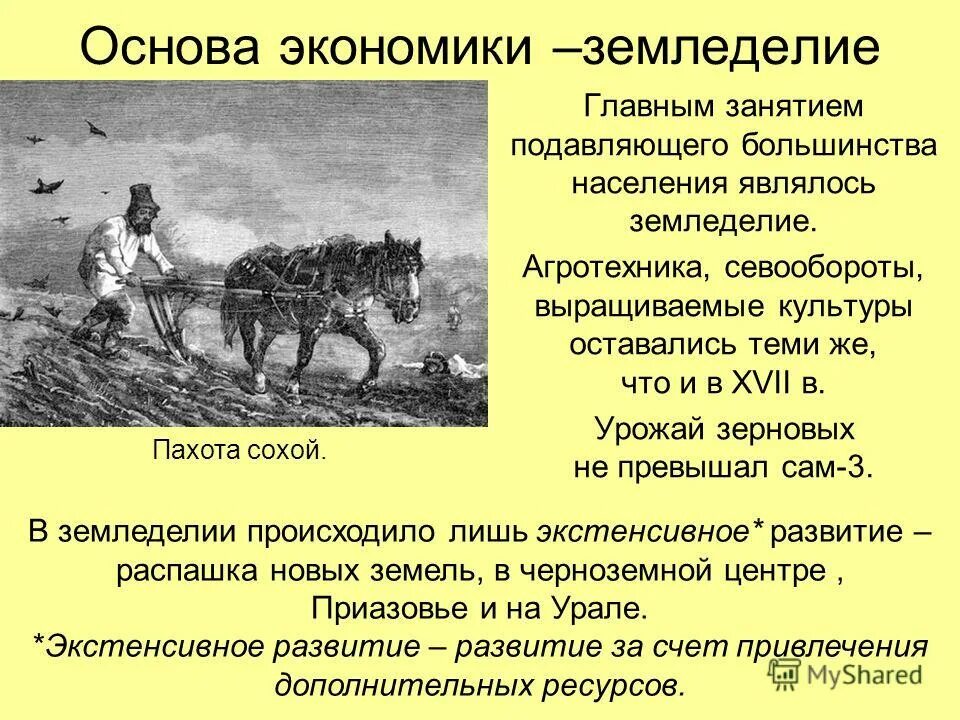 Основное занятие населения. Древняя община. Основным занятием населения были. Занятия владимирско-суздальское княжества. Основным занятием населения является.