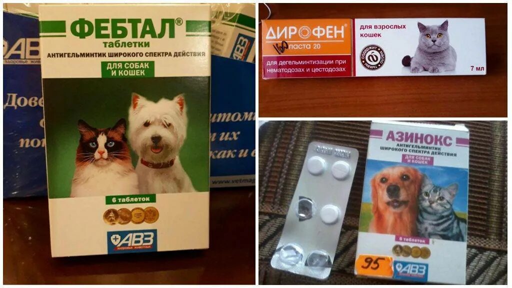Какую таблетку можно дать собаке от аллергии