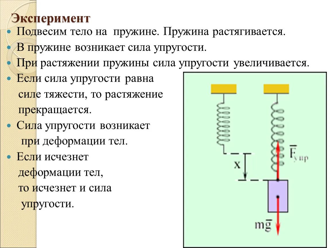 Сила упругости пружины сжатия. Сила упругости закон Гука 7 класс формула. Точка приложения сила упругости 7 класс физика. Сила упругости пружины сжатия формула. Учащиеся на уроке последовательно подвешивали