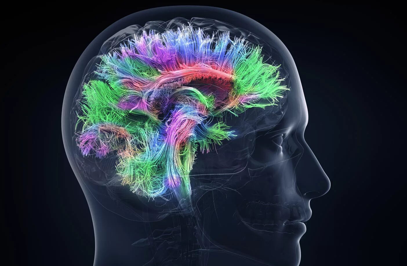 G brains. Визуализация мозга. Мозговая активность.