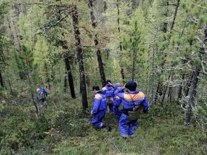 Нашли ребенка в лесу