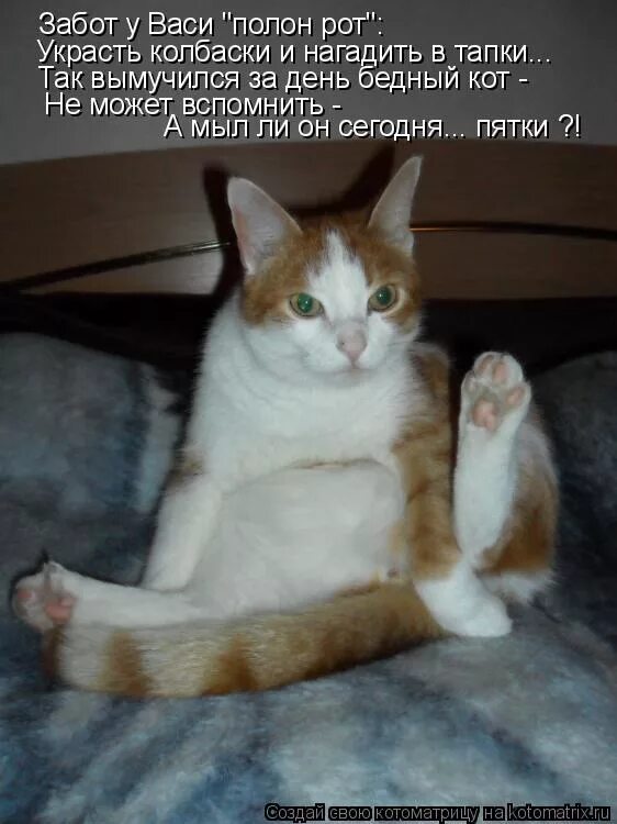 Вася обломов певец. Вася полностью. Забот полон рот продолжение. Гуляй вася. Кот вася рыжий.