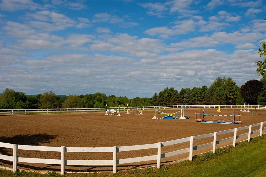 Ипподром чита. Скачки на ипподроме в москве. Ипподром отдых. Центральный московский ипподром скачки. Новосибирский ипподром манеж.