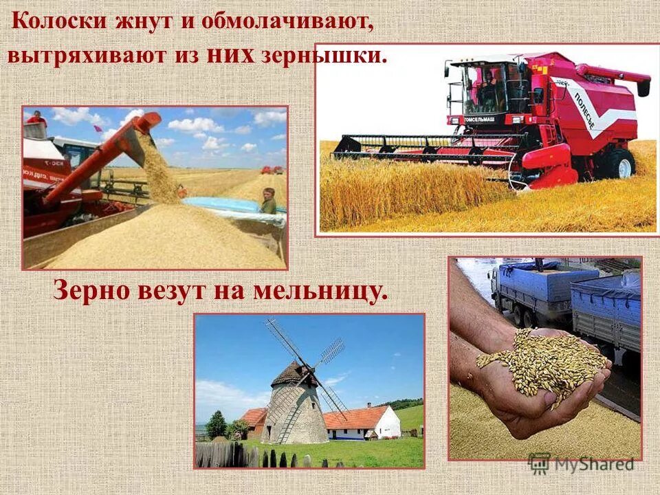 Как делают хлеб для детей. Путь от зернышка до хлеба. Проект хлебозавода. Как делают хлеб для детей. Хлеб наше богатство презентация.