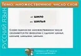 Множественное число слова Шило. Дно во множ числе. Дно во множественном числе как будет. Множественное число дно и Шило. Слово дно во множественном