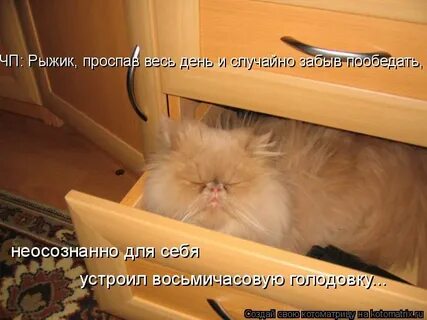 Смешные картинки забыл