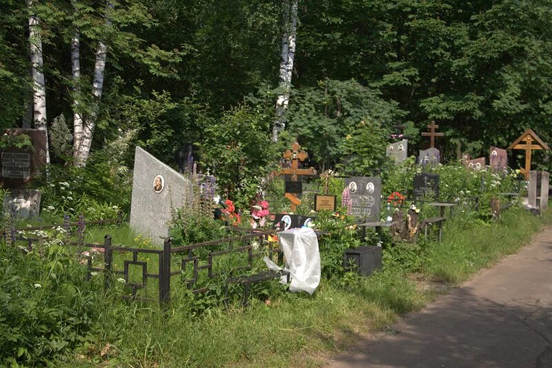 кладбище сампсона