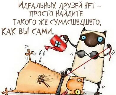Как не быть сумасшедшим
