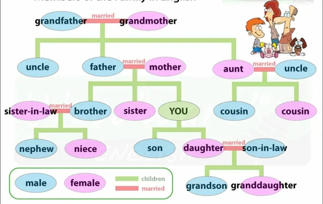 Aunt s brother is. Вокабуляр семья английский. Семья на английском языке. Лексика члены семьи на английском. A member of the Family.