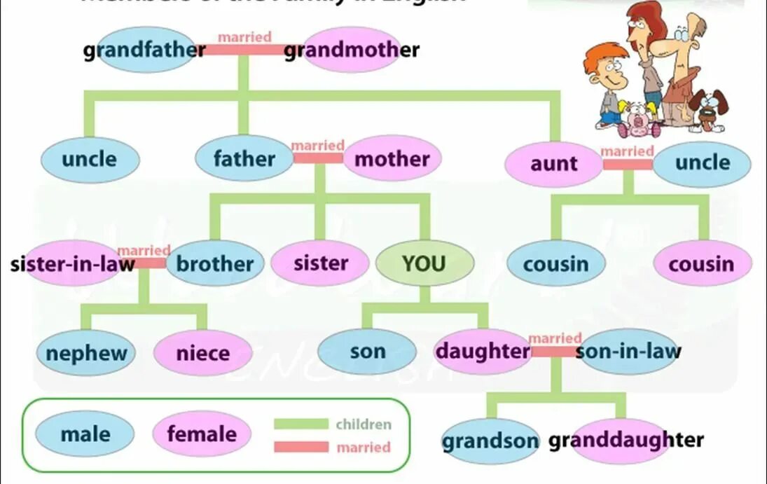 Вокабуляр семья английский. Семья на английском языке. Тема семья на английском.