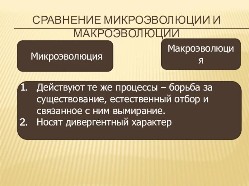 Понятие о микроэволюции и макроэволюции. Микроэволюция и Макроэволюция. Процессы микроэволюции. Микроэволюция и Макроэволюция примеры. Тема микроэволюция и макроэволюция