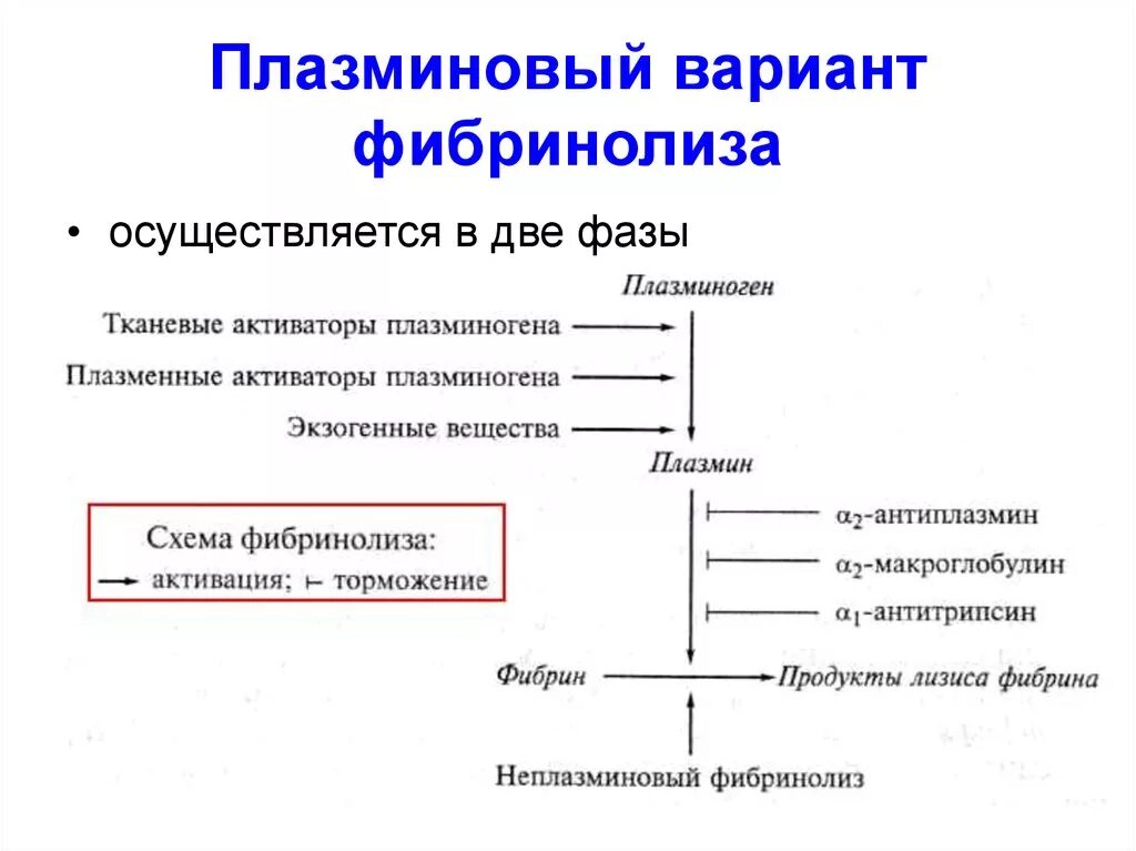 Схема активации фибринолиза. Фибринолиз этапы физиология. Фибринолитическая система биохимия. Фибринолитическая система крови схема. Активаторы активности