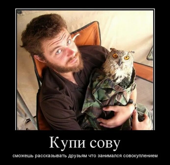 Научитесь говорить нет цитаты. Я вам запрещаю я сказал. Незнание закона не освобождает от ответственности. Я вам запрещаю я сказал. Кличко мемы.