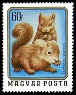 1976 животное
