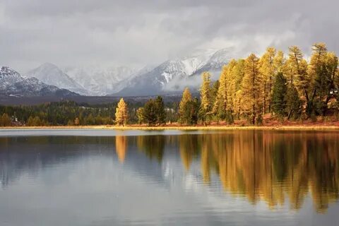 Пейзажи горного алтая