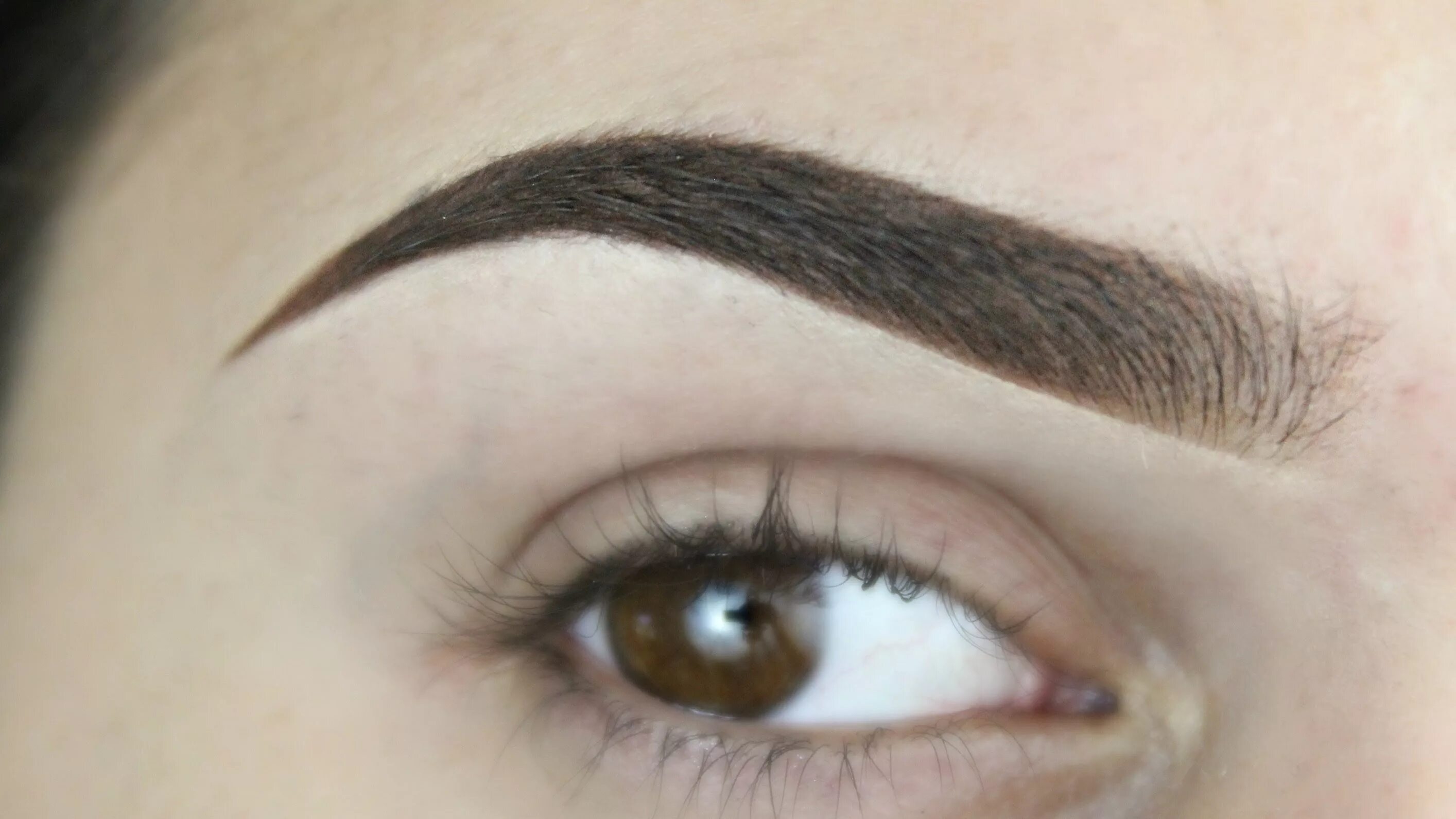 Perfect brow. Перманентный макияж волосковая техника. Перманентный макияж бровей. Форма бровей. Растушевка бровей.