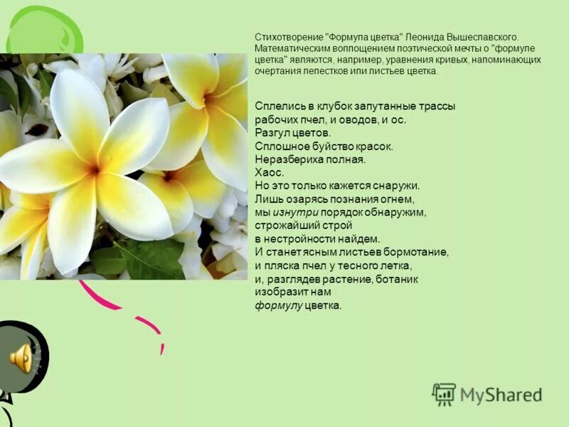 стих про лето. сформулировать стихи. тезис в сочинении это. идея стихотворения это. значения стихотворения ( сформулировать 3-4 предложения) бородино.