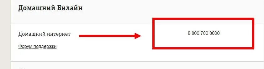 Служба поддержки билайн домашний интернет москва. Служба поддержки Билайн домашний интернет. Билайн домашний интернет горячая линия. Билайн домашний интернет телефон службы поддержки. Техподдержка Билайн домашний интернет.