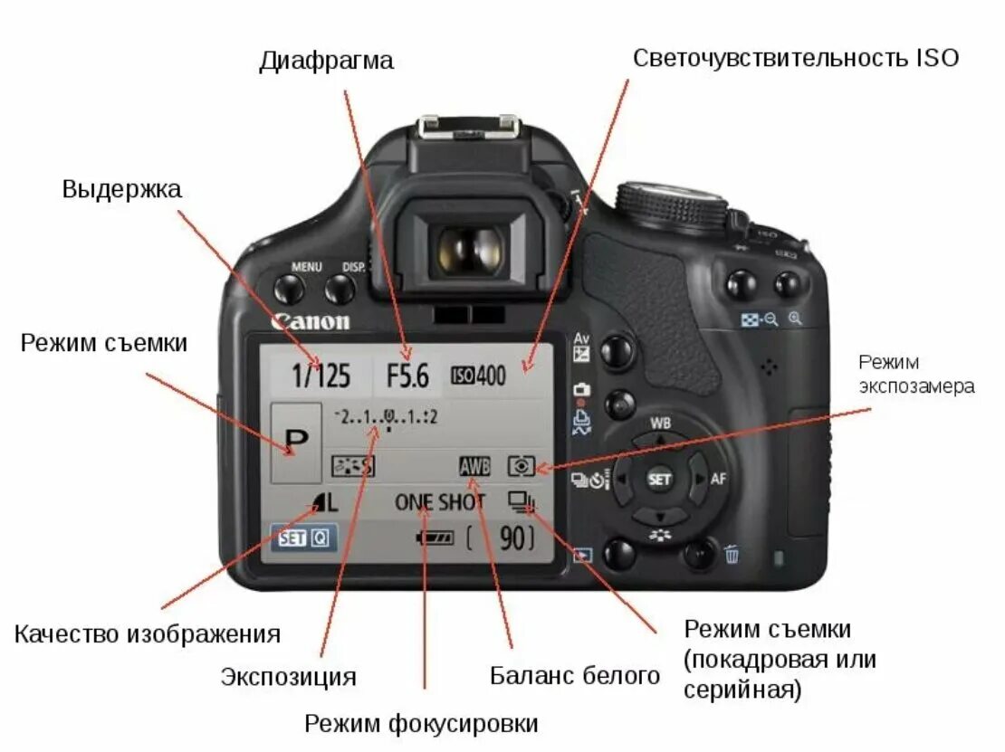 Nikon d7000 кнопки управления. Разъемы фотоаппарата Nikon d530.