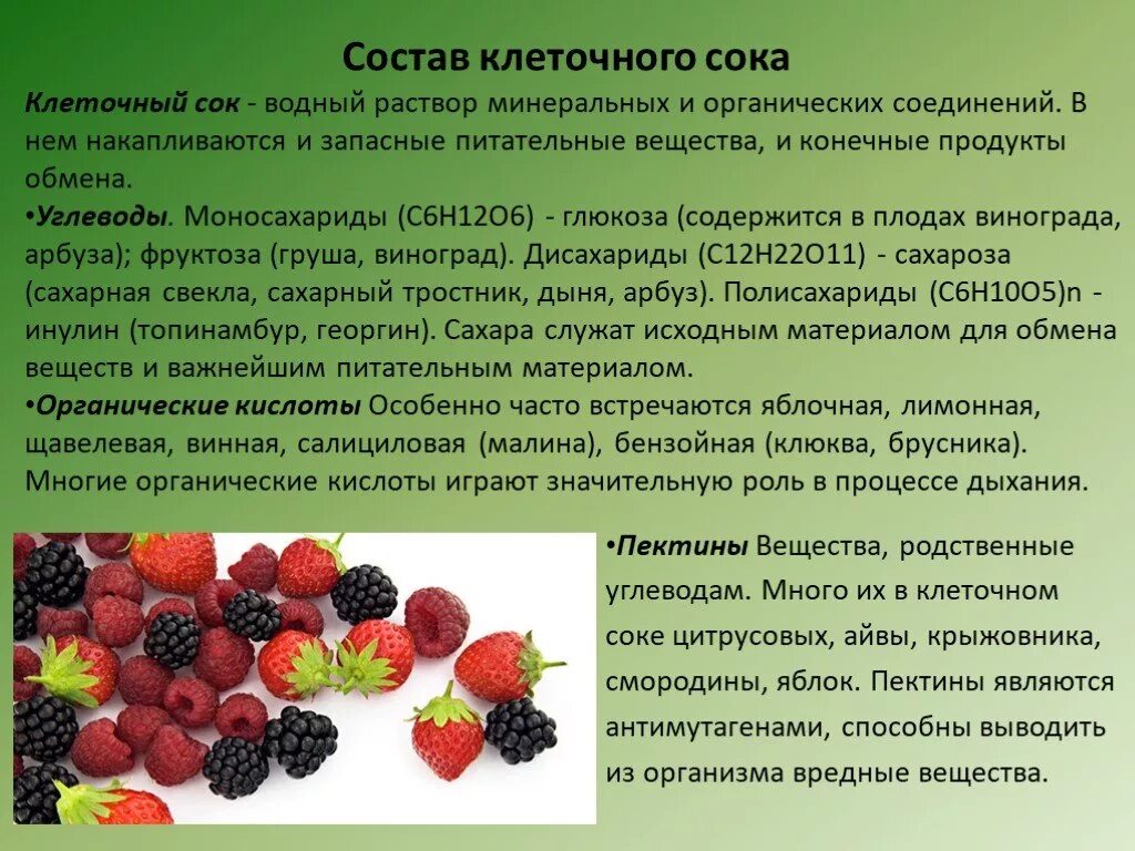 Вещества клеточного сока. Состав клеточного сока растений. Вещества клеточного сока таблица. Запасные вещества клеточного сока. Клеточный сок называется