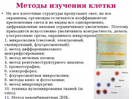 Таблица изучения клетки биология