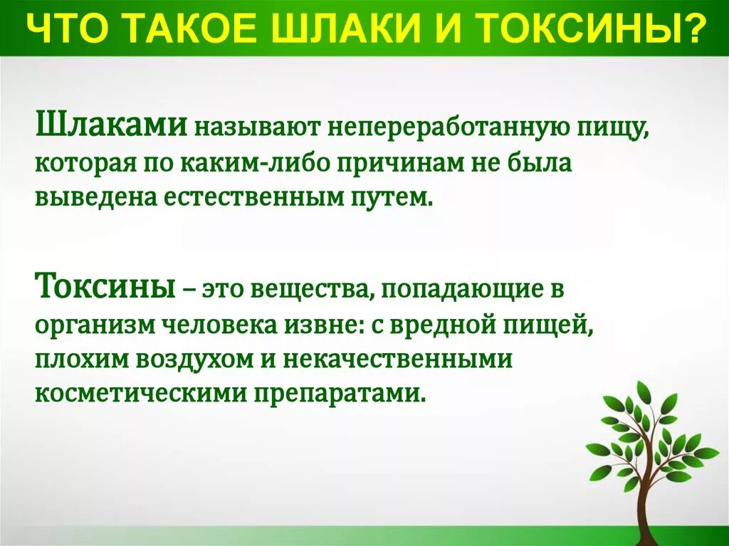 Как очистить кишечник от зашлакованности быстро