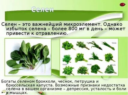 В чем находится силен